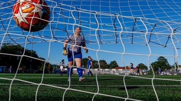 football net-Nettingland