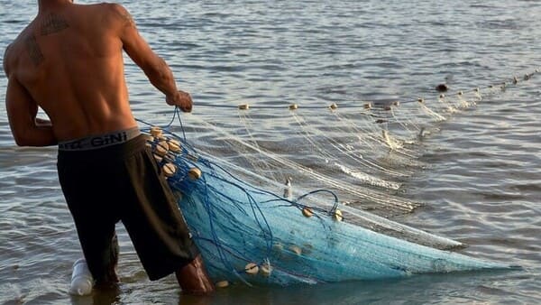 gill net-Nettingland