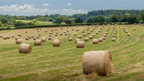 bale netwrap in the farm