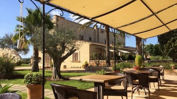 shade sail in restaurant-Nettingland